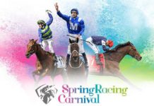 Irish entries for Melbourne and Caulfield Cups