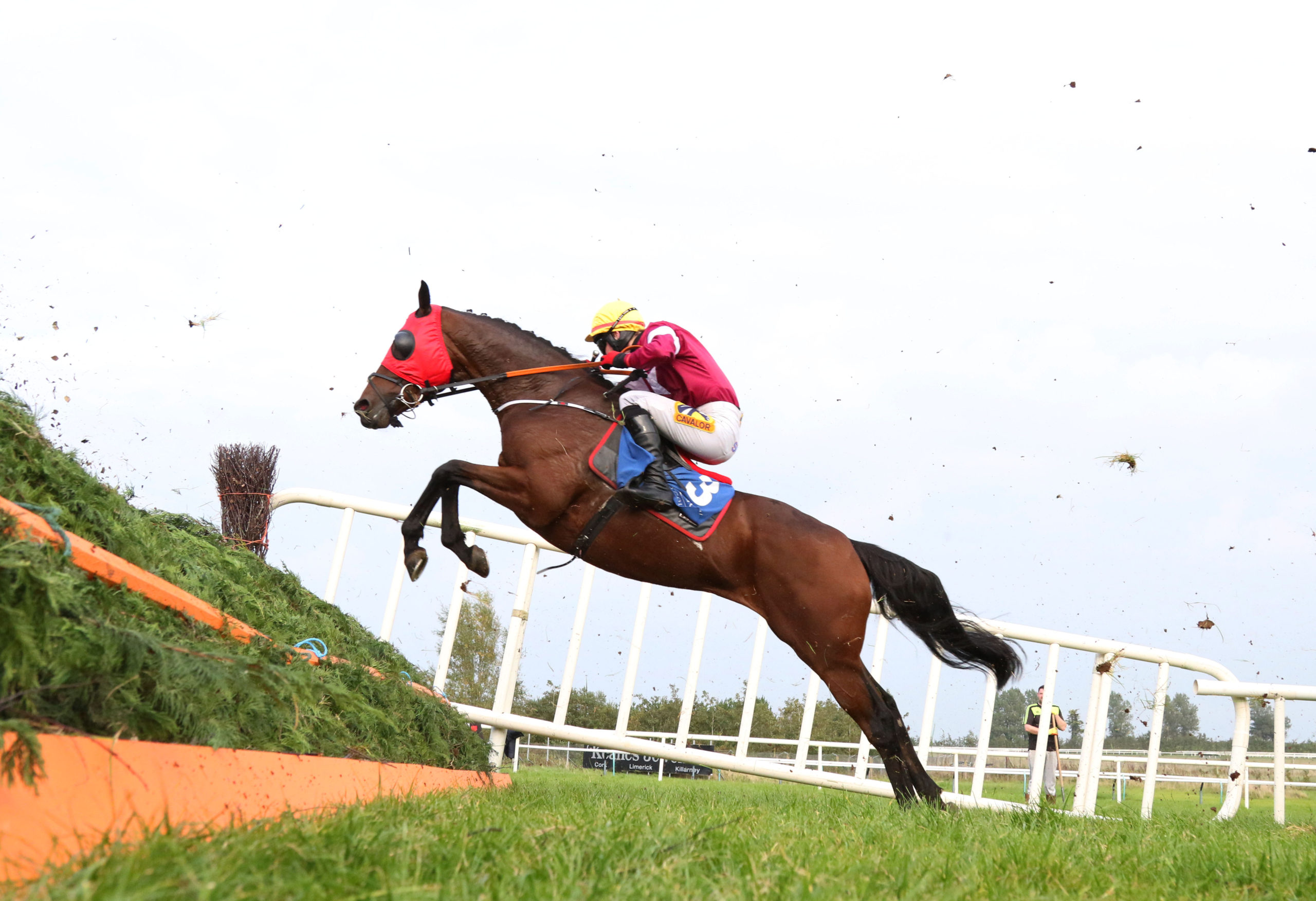 Tiger Roll to be inducted into Hall of Fame at The November Meeting