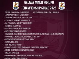 Galway minor hurling panel for 2023