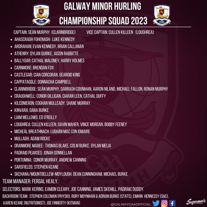 Galway minor hurling panel for 2023