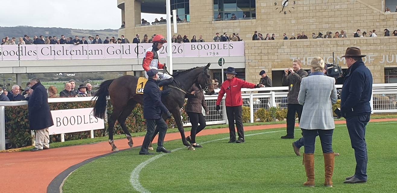 Mullins’ combine for 50/1 Triumph win with Apolon De Charnie – SportsNewsIreland SportsNewsIreland Live Scores